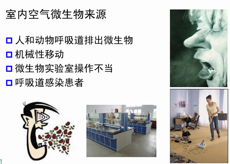 空氣微生物來源