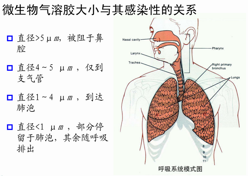 微生物氣溶膠